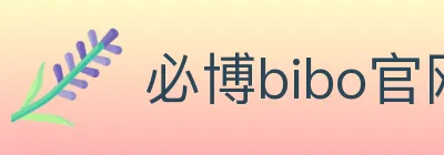 必博bibo官网体育 logo